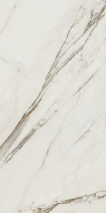 Cotto petrus Gres Porcellanato effetto marmo opaco Calacatta brown 60x120