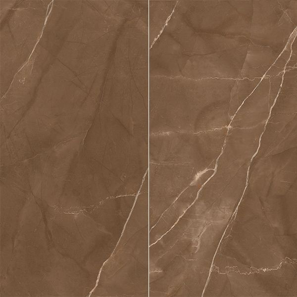Gres porcellanato effetto marmo Lucido Pulpis 120x60