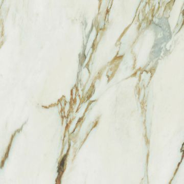 Gres porcellanato tutta massa ABK Sensi Signoria Calacatta Vena Oro opaco 120x120 SP9