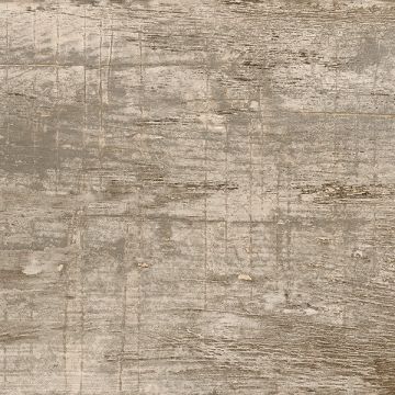 Lastre in gres porcellanato pressate a secco Cenere 60x120 Opaco SP10 Collezione WOOD Segesta di Tagina
