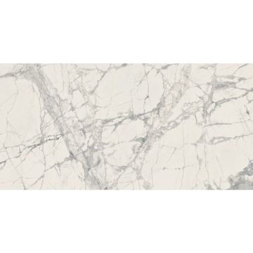 Gres Porcellanato in massa Mountain Treasure Glossy 30x60 SP10mm Opaco effetto Marmo  2° Scelta