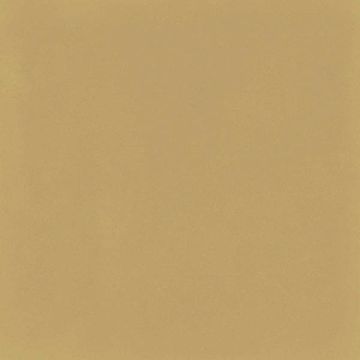 Gres porcellanato Marazzi D_Segni Colore Mostarda 20x20