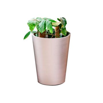 Vaso Shot della linea Combo di Altera 39x50