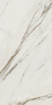 Cotto petrus Gres Porcellanato effetto marmo opaco Calacatta brown 60x120
